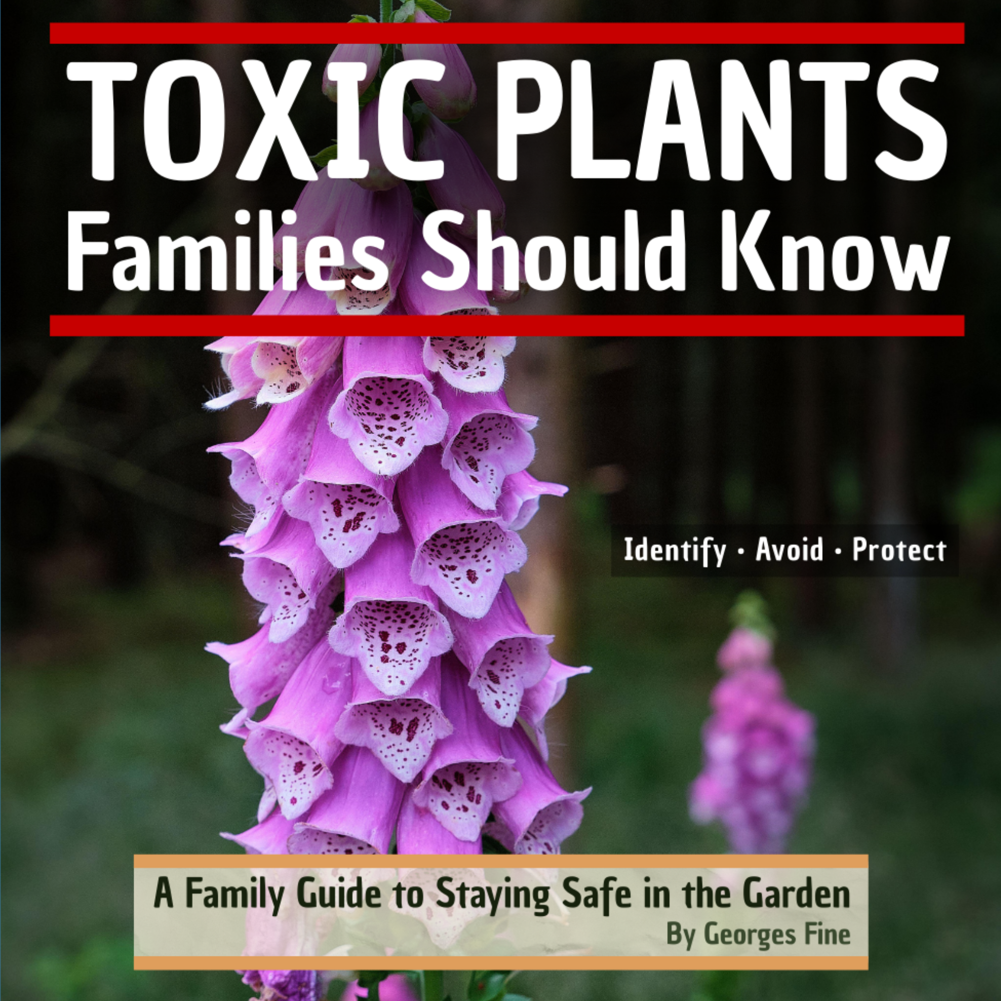 Book cover of Toxic Plants Families Should Know, a family guide to identifying poisonous and toxic garden plants